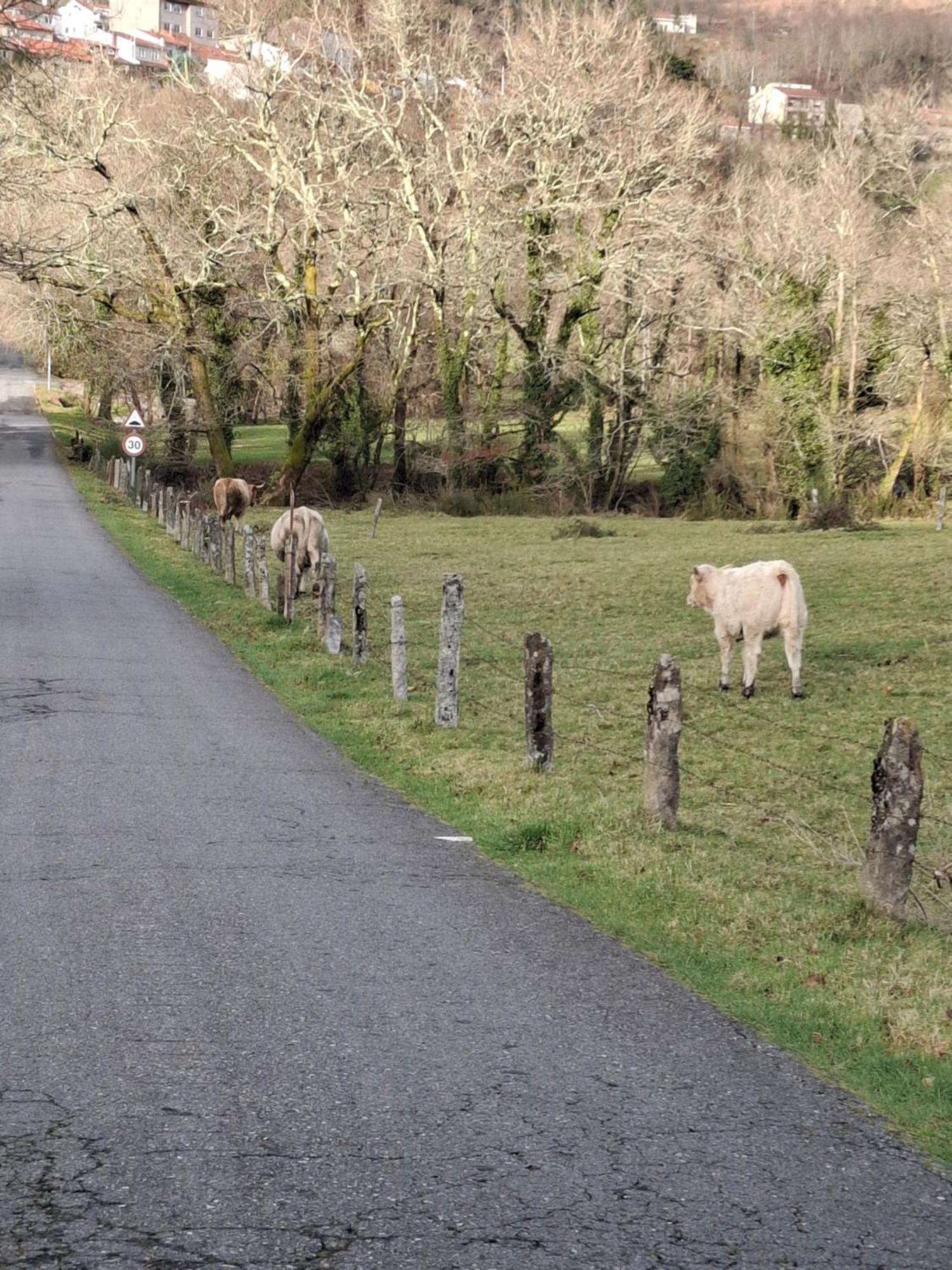Vive Una Escapada Rural Con Alma, Cerca De Todo Y Lejos Del Ruido Pontevedra Esterno foto